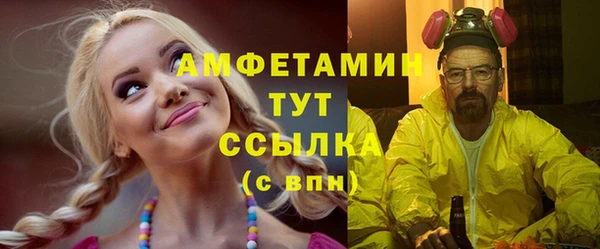 стафф Кодинск