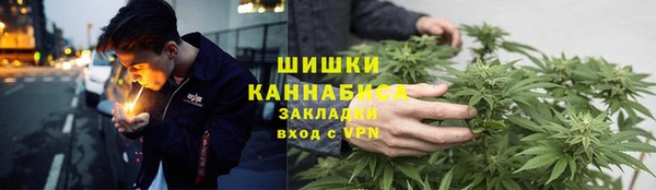 стафф Кодинск