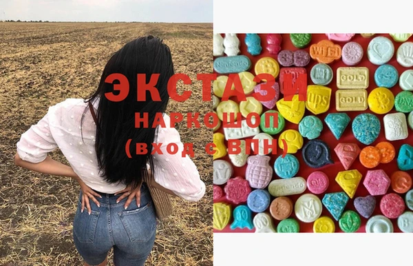 стафф Коряжма