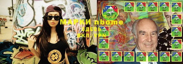 стафф Коряжма