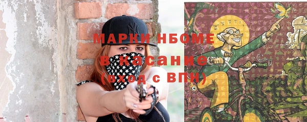 шишки Козельск