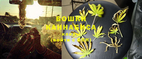стафф Кодинск