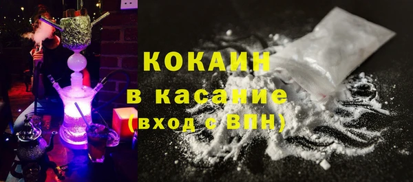 мяу мяу кристалл Корсаков