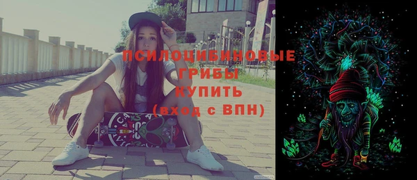 стафф Кодинск