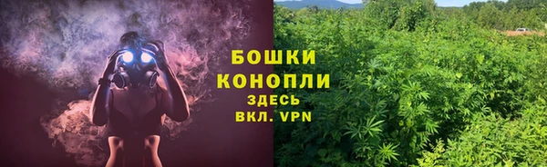 мяу мяу кристалл Корсаков