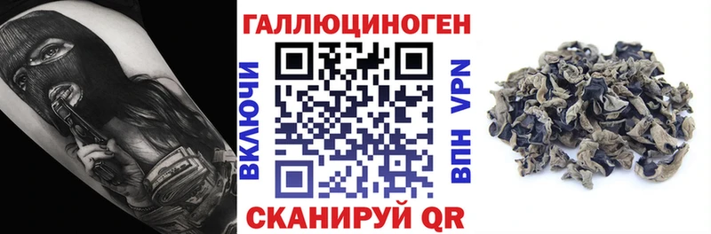 Псилоцибиновые грибы MAGIC MUSHROOMS  закладка  Невельск 